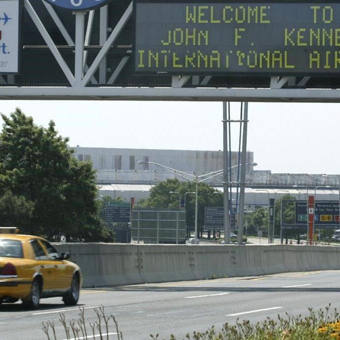 A horse loose on a flight to Belgium forces a cargo jet back to New York